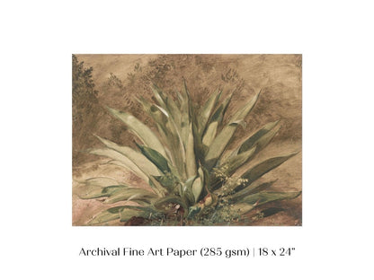 Century Plant | P371 - Single Art Prints - Piccolo Fiore Prints