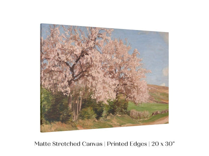Cherry Blossom | P440 - Single Art Prints - Piccolo Fiore Prints