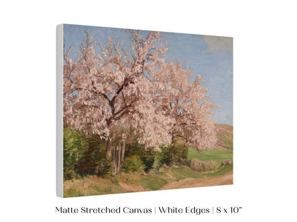 Cherry Blossom | P440 - Single Art Prints - Piccolo Fiore Prints