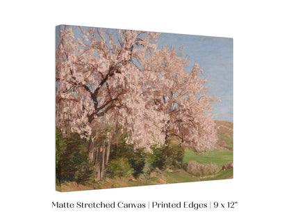 Cherry Blossom | P440 - Single Art Prints - Piccolo Fiore Prints