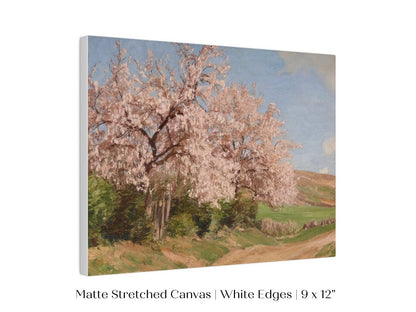 Cherry Blossom | P440 - Single Art Prints - Piccolo Fiore Prints