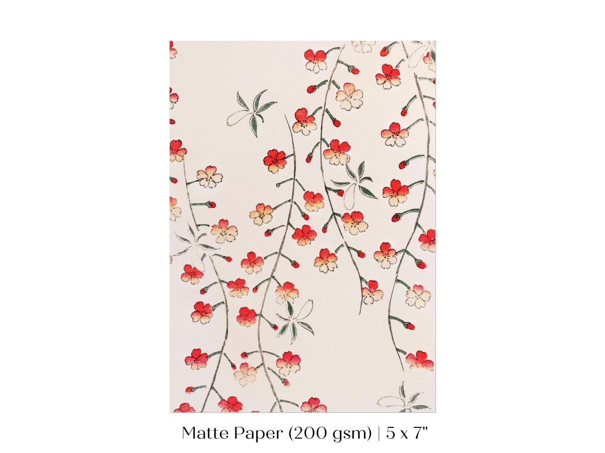 Cherry Blossom Pattern | Vintage Japanese Art | P322 - Single Art Prints - Piccolo Fiore Prints