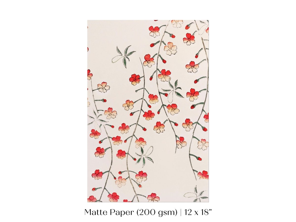 Cherry Blossom Pattern | Vintage Japanese Art | P322 - Single Art Prints - Piccolo Fiore Prints