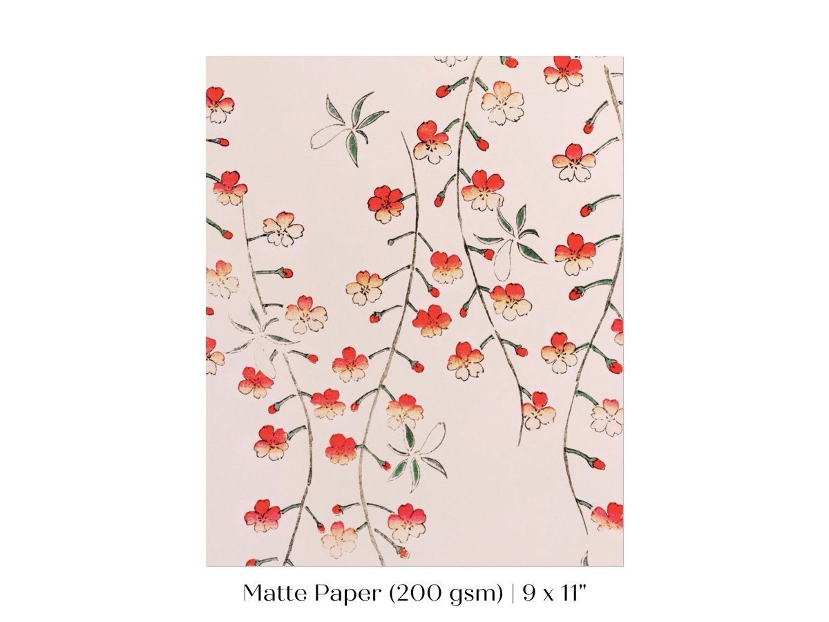 Cherry Blossom Pattern | Vintage Japanese Art | P322 - Single Art Prints - Piccolo Fiore Prints