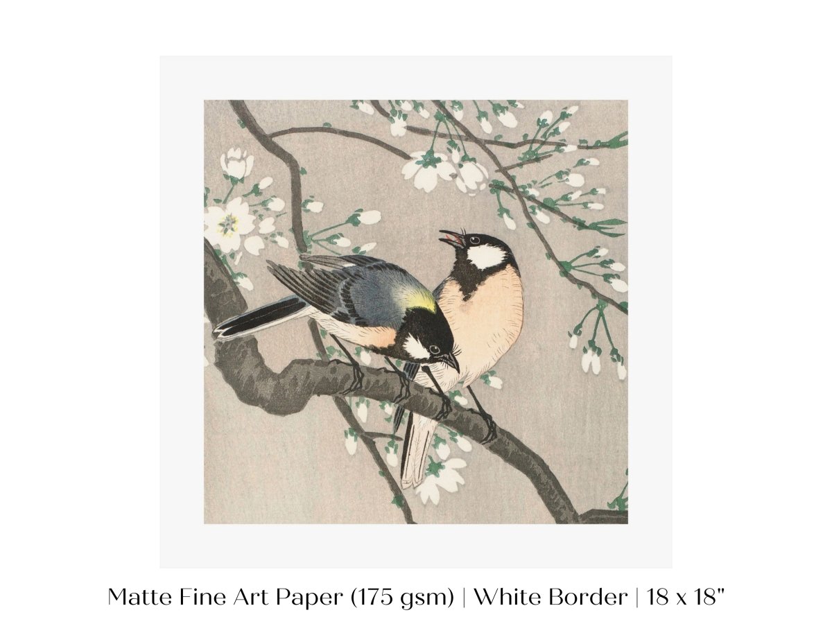 Cherry Branch | Vintage Japanese Art | P279 - Single Square Art Prints - Piccolo Fiore Prints