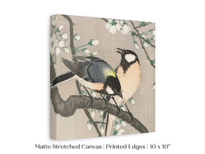 Cherry Branch | Vintage Japanese Art | P279 - Single Square Art Prints - Piccolo Fiore Prints