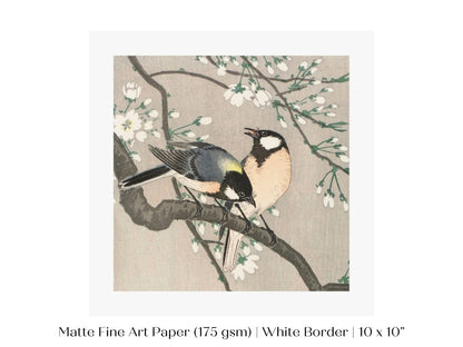 Cherry Branch | Vintage Japanese Art | P279 - Single Square Art Prints - Piccolo Fiore Prints