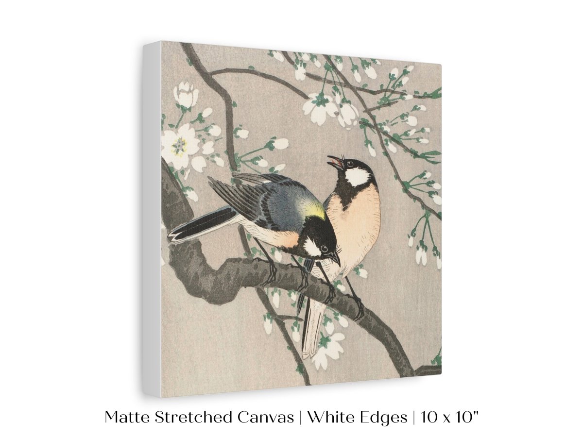 Cherry Branch | Vintage Japanese Art | P279 - Single Square Art Prints - Piccolo Fiore Prints