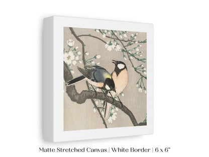 Cherry Branch | Vintage Japanese Art | P279 - Single Square Art Prints - Piccolo Fiore Prints
