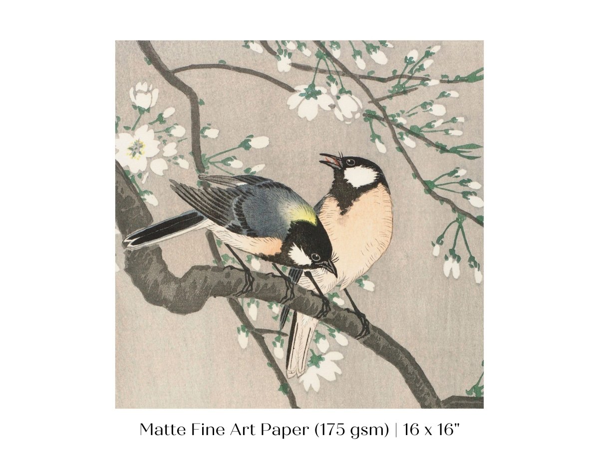 Cherry Branch | Vintage Japanese Art | P279 - Single Square Art Prints - Piccolo Fiore Prints