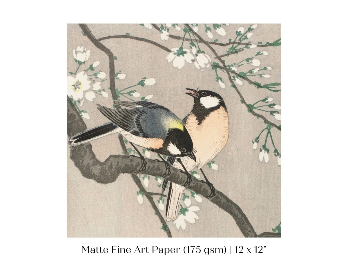Cherry Branch | Vintage Japanese Art | P279 - Single Square Art Prints - Piccolo Fiore Prints