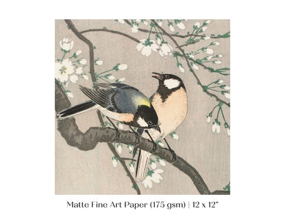 Cherry Branch | Vintage Japanese Art | P279 - Single Square Art Prints - Piccolo Fiore Prints