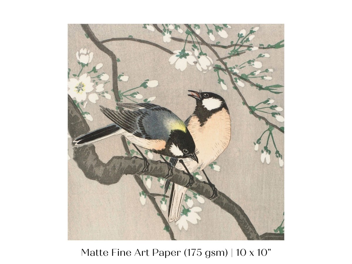 Cherry Branch | Vintage Japanese Art | P279 - Single Square Art Prints - Piccolo Fiore Prints