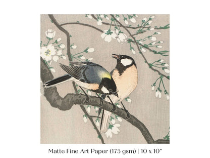 Cherry Branch | Vintage Japanese Art | P279 - Single Square Art Prints - Piccolo Fiore Prints