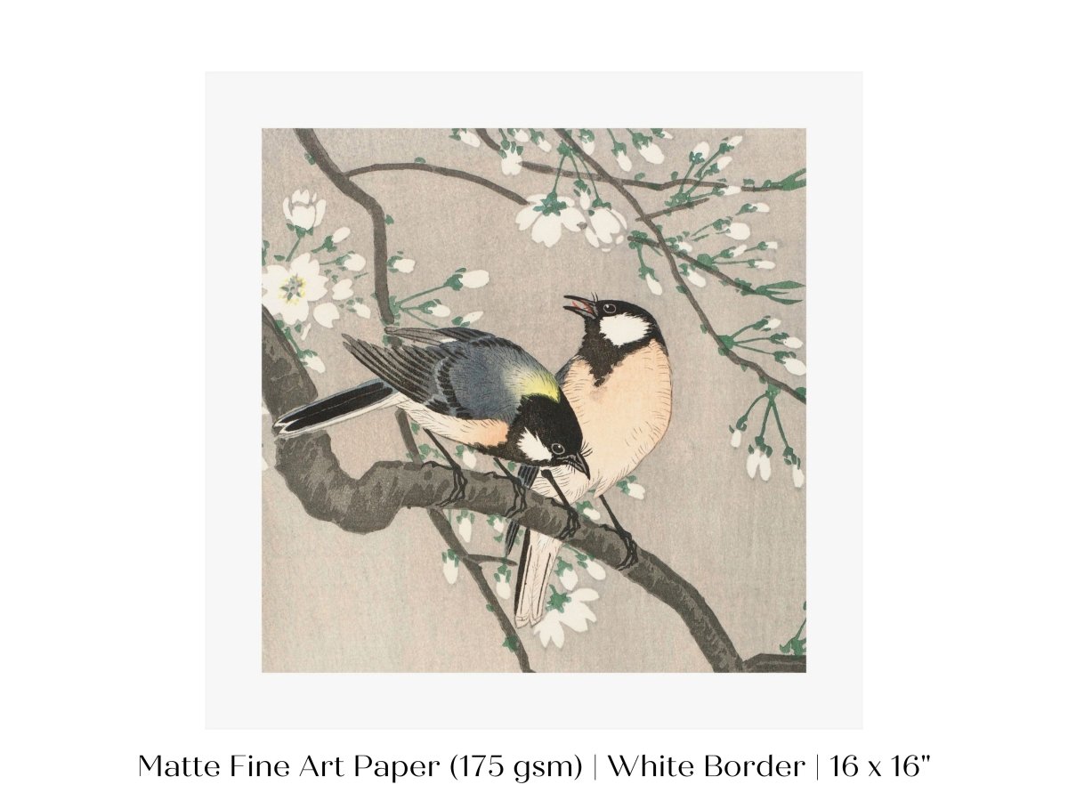 Cherry Branch | Vintage Japanese Art | P279 - Single Square Art Prints - Piccolo Fiore Prints