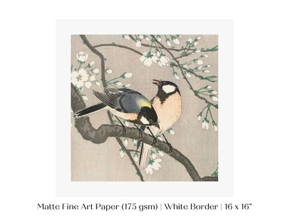 Cherry Branch | Vintage Japanese Art | P279 - Single Square Art Prints - Piccolo Fiore Prints
