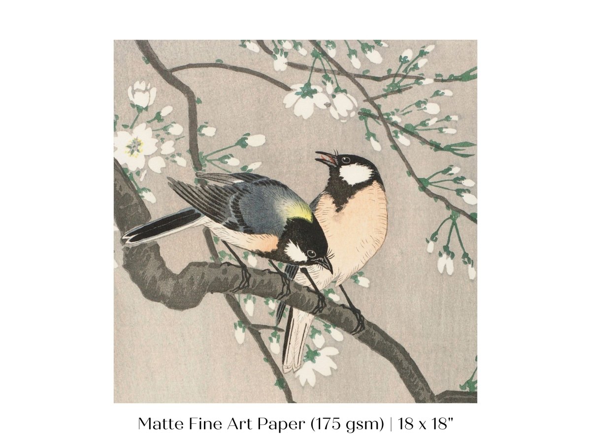 Cherry Branch | Vintage Japanese Art | P279 - Single Square Art Prints - Piccolo Fiore Prints