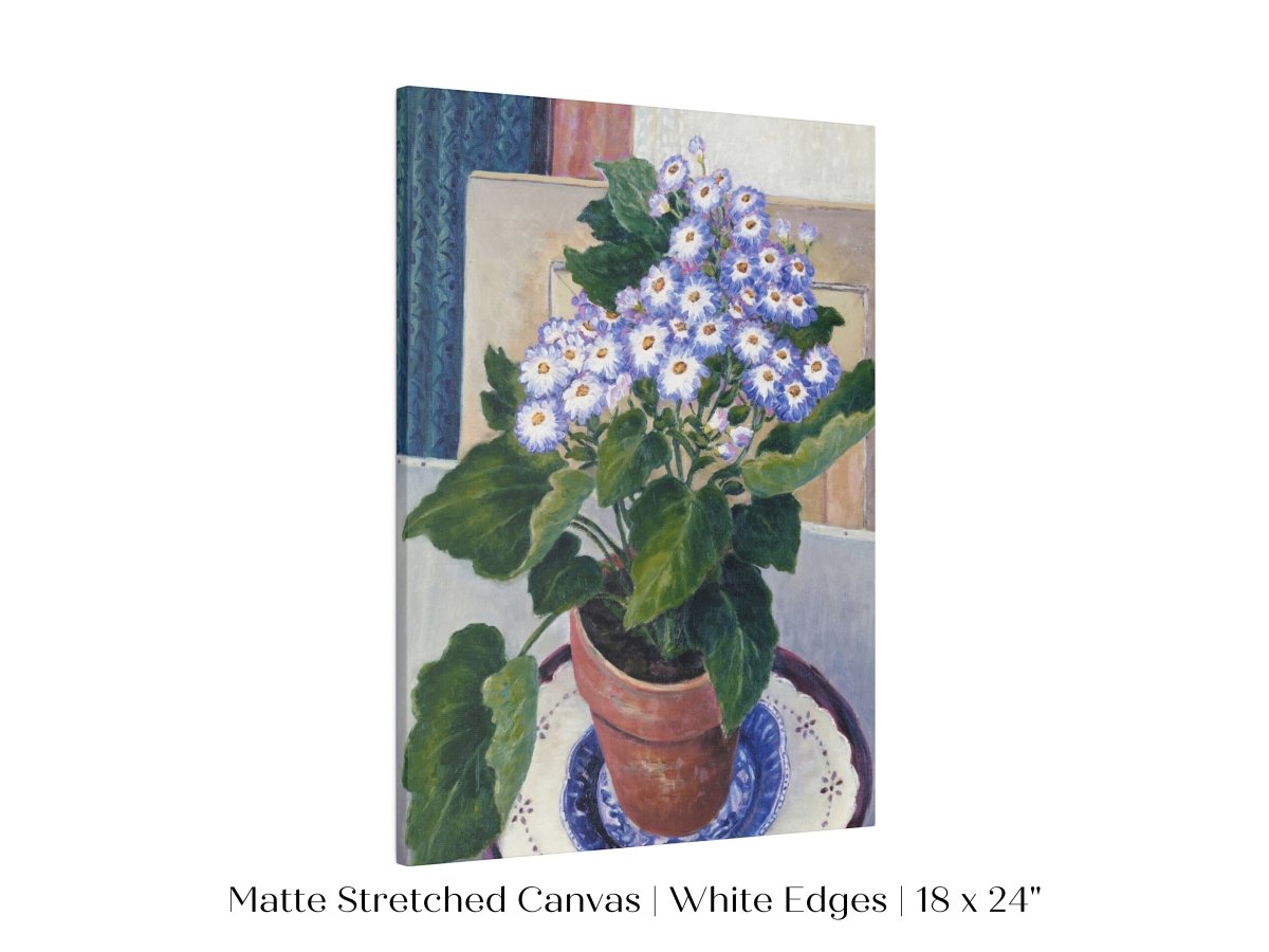 Cineraria | P208 - Single Art Prints - Piccolo Fiore Prints