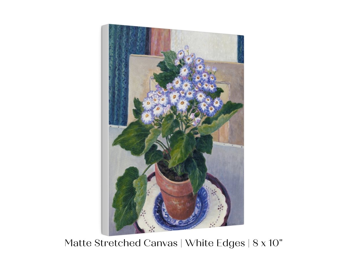 Cineraria | P208 - Single Art Prints - Piccolo Fiore Prints