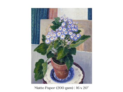 Cineraria | P208 - Single Art Prints - Piccolo Fiore Prints