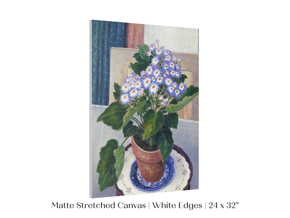 Cineraria | P208 - Single Art Prints - Piccolo Fiore Prints