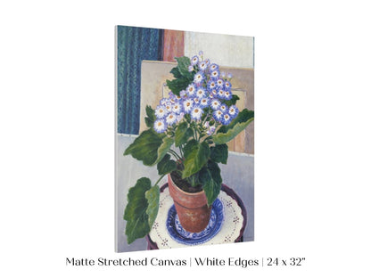 Cineraria | P208 - Single Art Prints - Piccolo Fiore Prints