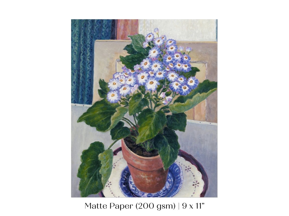 Cineraria | P208 - Single Art Prints - Piccolo Fiore Prints