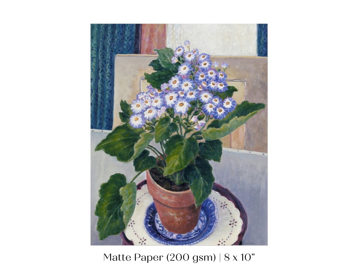 Cineraria | P208 - Single Art Prints - Piccolo Fiore Prints