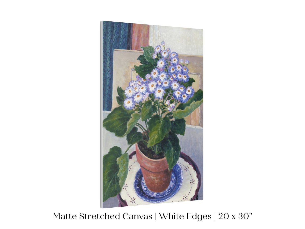 Cineraria | P208 - Single Art Prints - Piccolo Fiore Prints