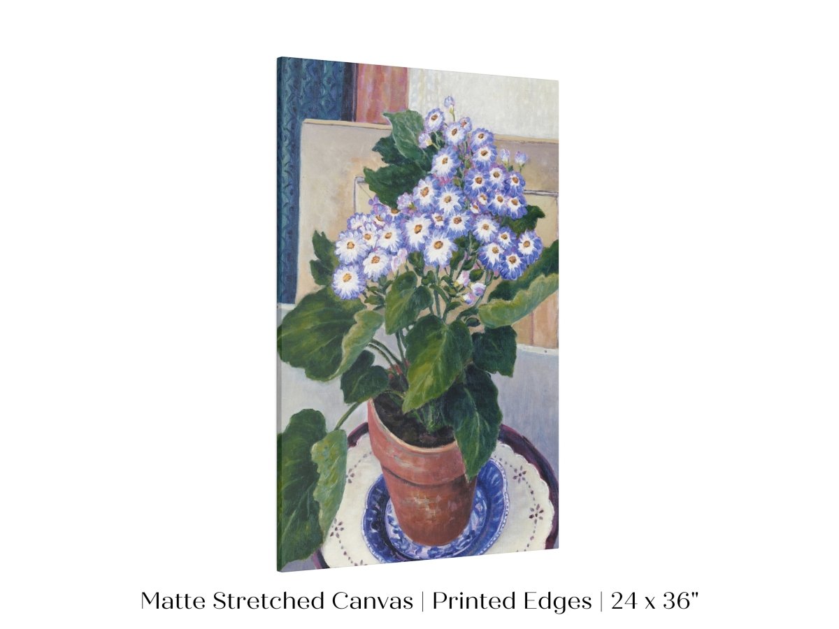 Cineraria | P208 - Single Art Prints - Piccolo Fiore Prints