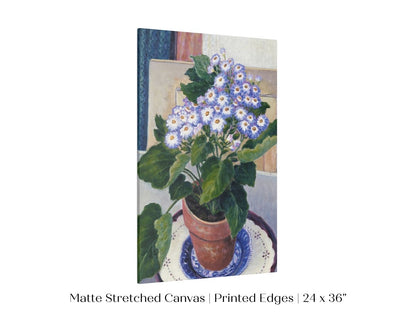 Cineraria | P208 - Single Art Prints - Piccolo Fiore Prints