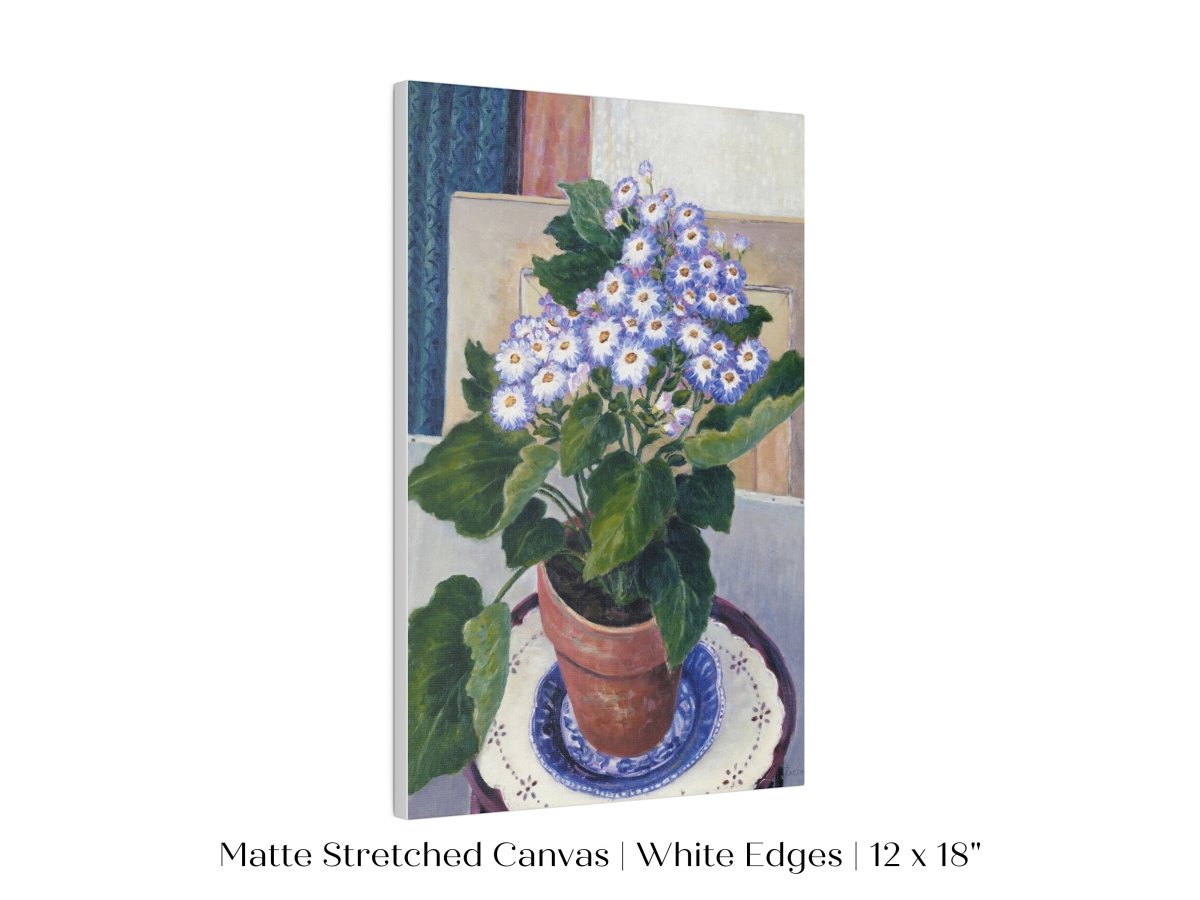 Cineraria | P208 - Single Art Prints - Piccolo Fiore Prints