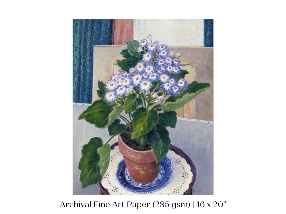 Cineraria | P208 - Single Art Prints - Piccolo Fiore Prints