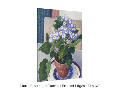 Cineraria | P208 - Single Art Prints - Piccolo Fiore Prints