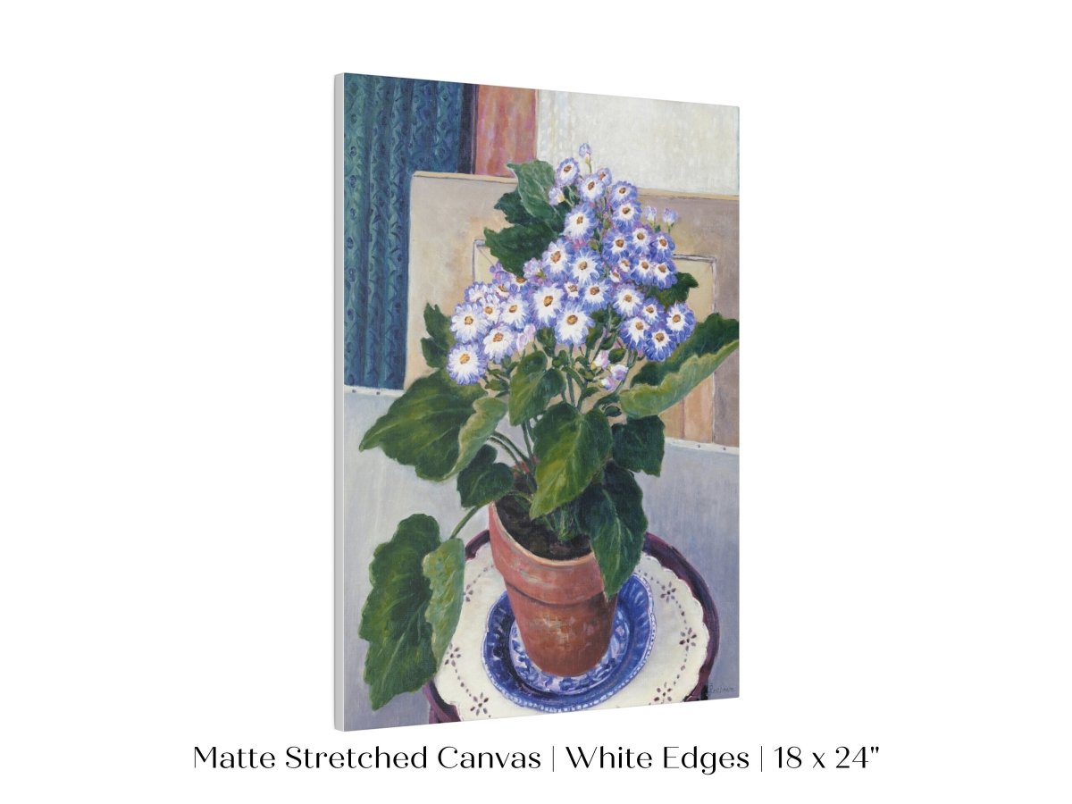 Cineraria | P208 - Single Art Prints - Piccolo Fiore Prints
