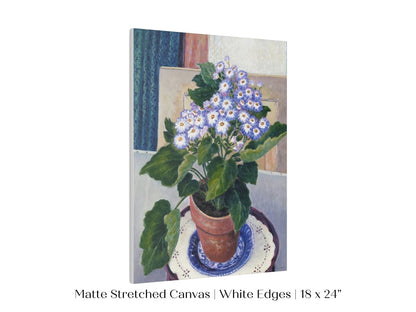 Cineraria | P208 - Single Art Prints - Piccolo Fiore Prints