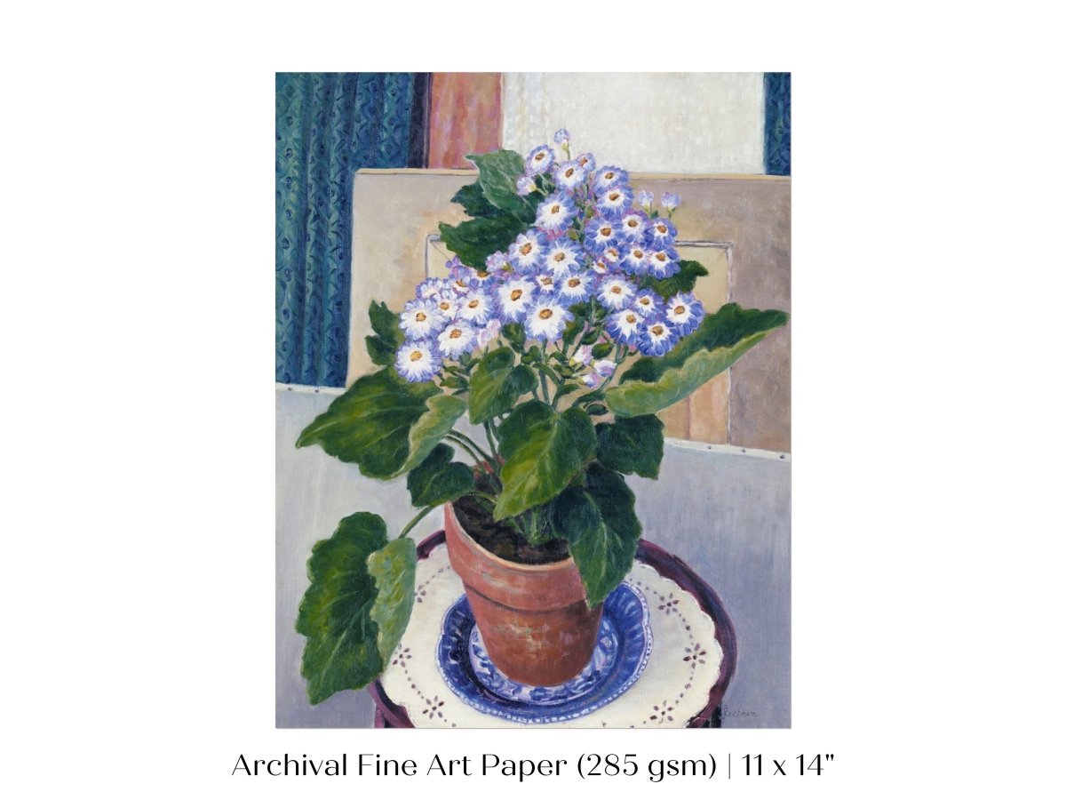 Cineraria | P208 - Single Art Prints - Piccolo Fiore Prints