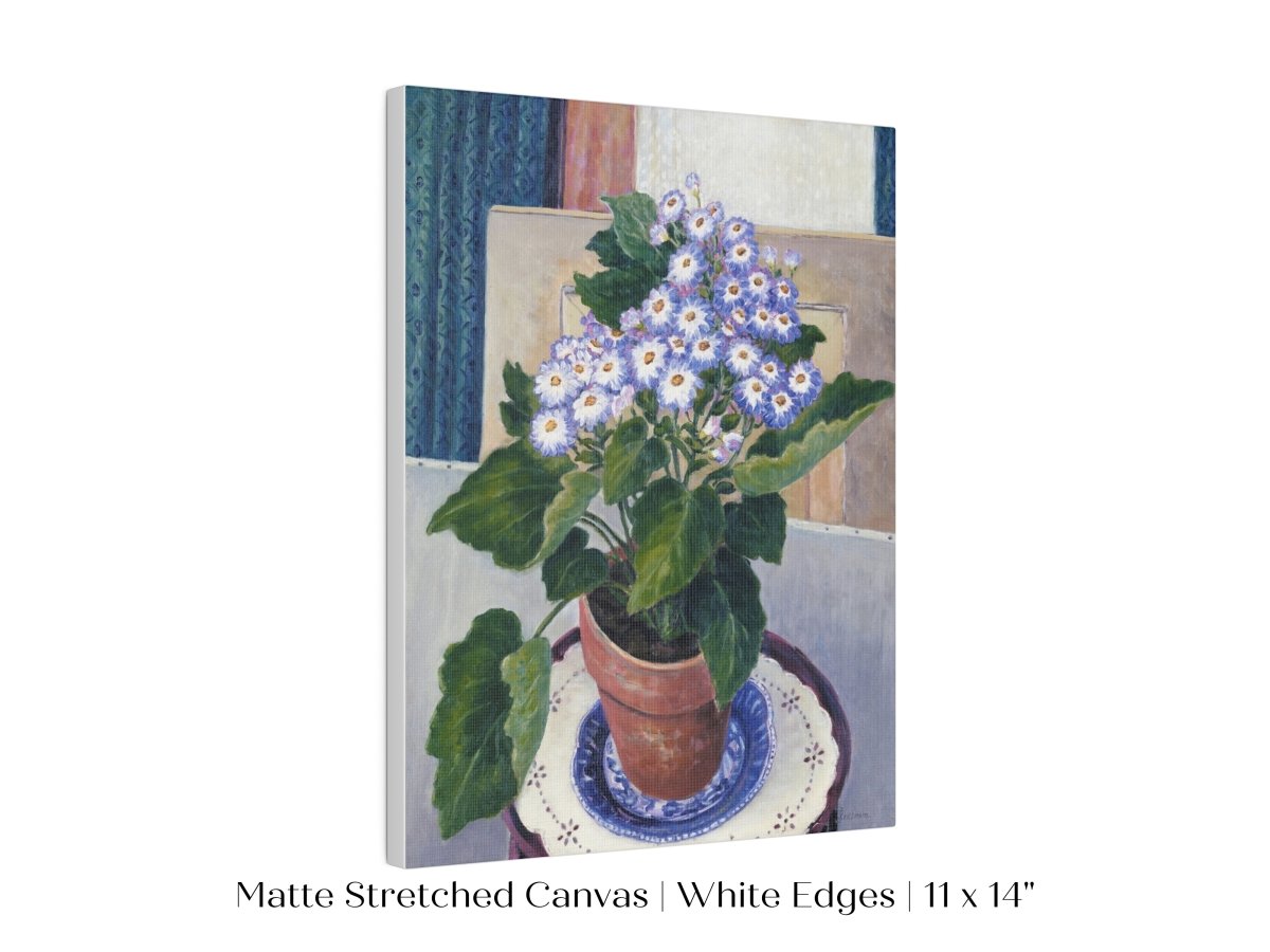 Cineraria | P208 - Single Art Prints - Piccolo Fiore Prints