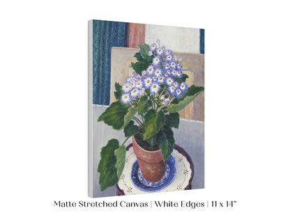 Cineraria | P208 - Single Art Prints - Piccolo Fiore Prints