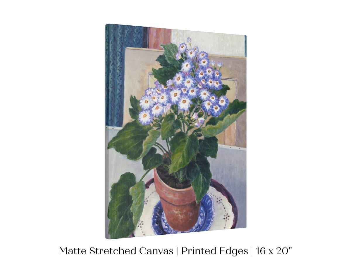 Cineraria | P208 - Single Art Prints - Piccolo Fiore Prints