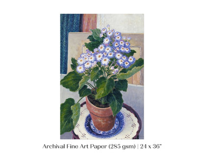 Cineraria | P208 - Single Art Prints - Piccolo Fiore Prints
