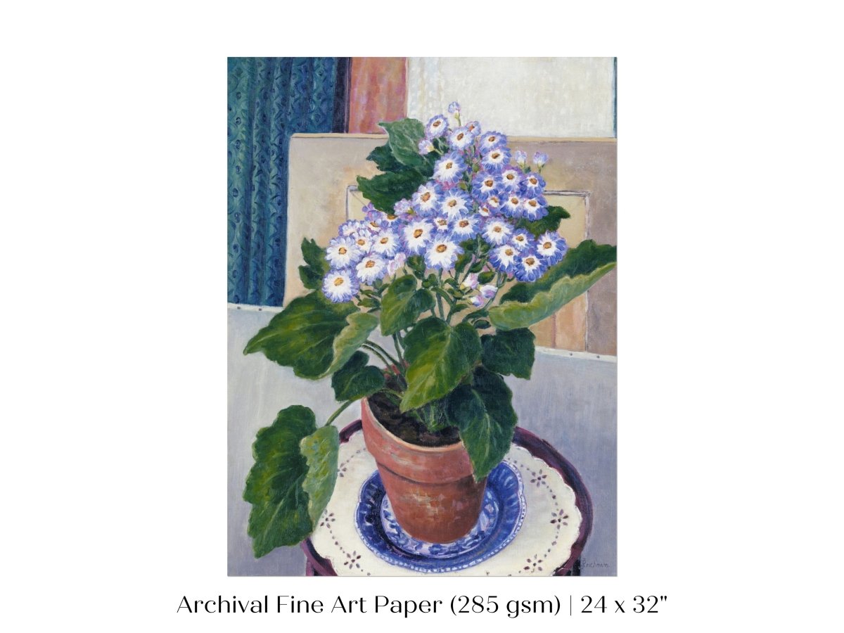 Cineraria | P208 - Single Art Prints - Piccolo Fiore Prints