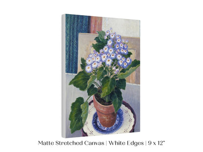 Cineraria | P208 - Single Art Prints - Piccolo Fiore Prints