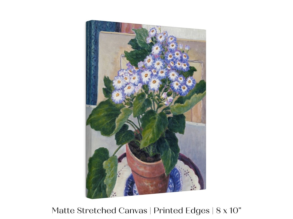 Cineraria | P208 - Single Art Prints - Piccolo Fiore Prints