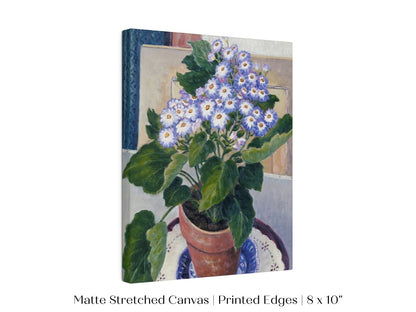 Cineraria | P208 - Single Art Prints - Piccolo Fiore Prints