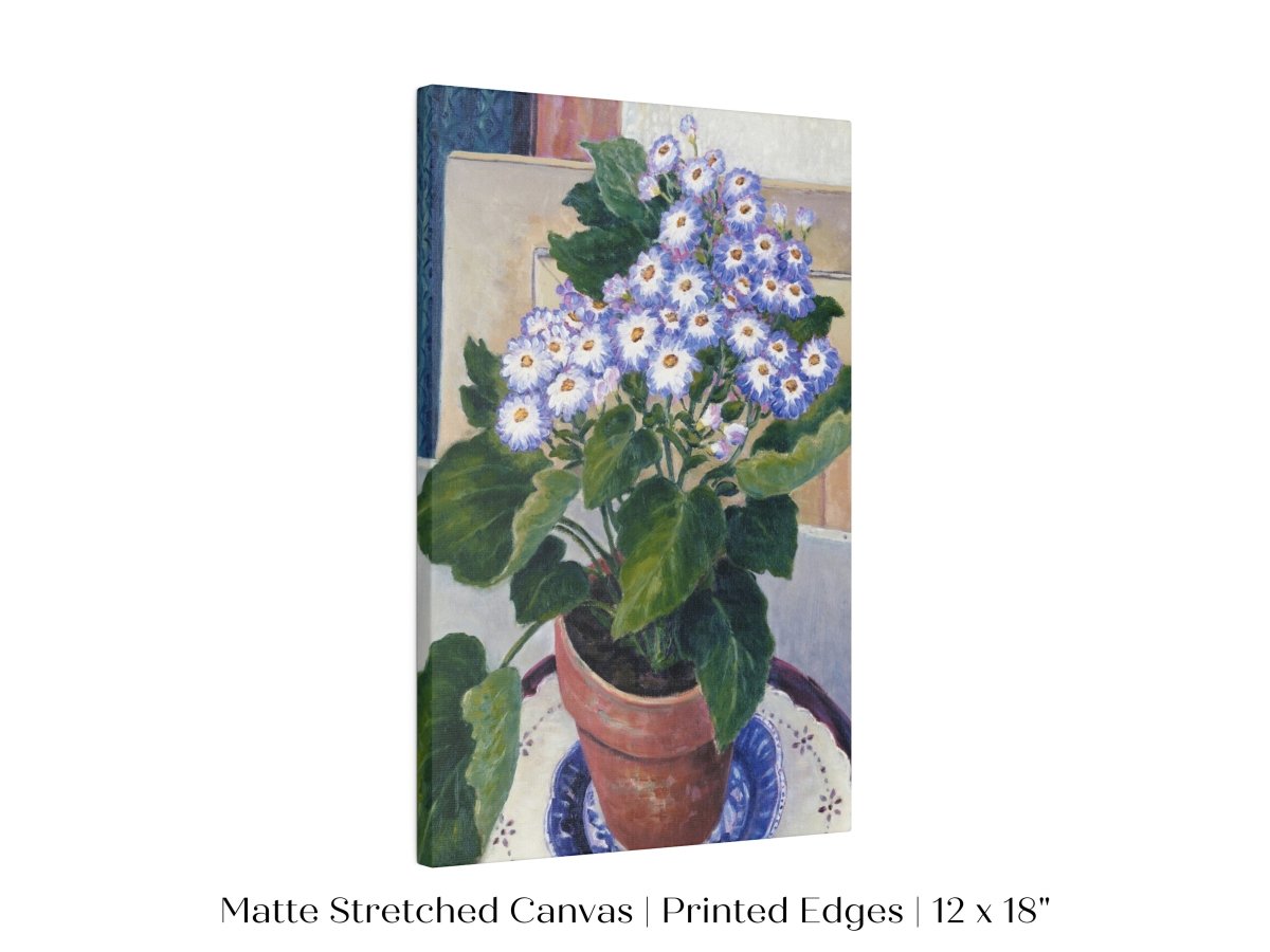 Cineraria | P208 - Single Art Prints - Piccolo Fiore Prints