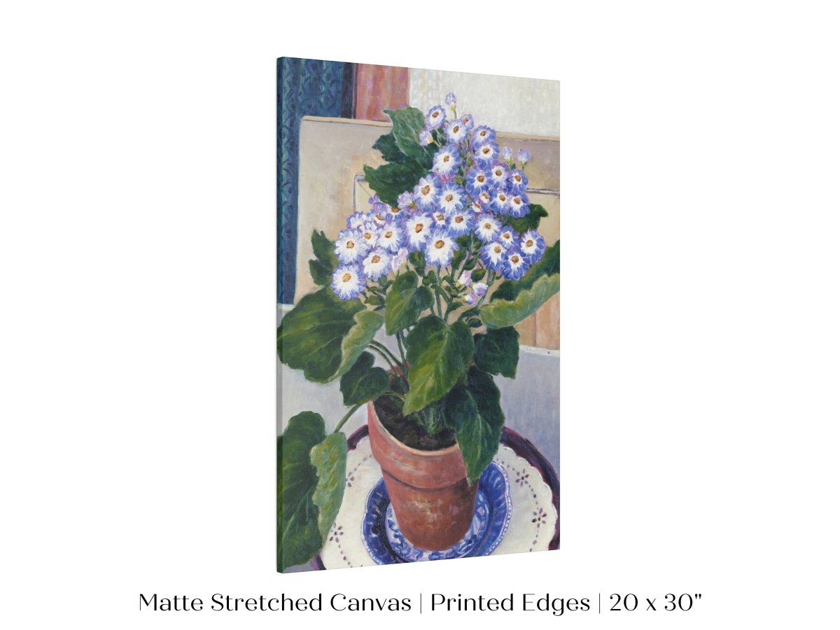 Cineraria | P208 - Single Art Prints - Piccolo Fiore Prints