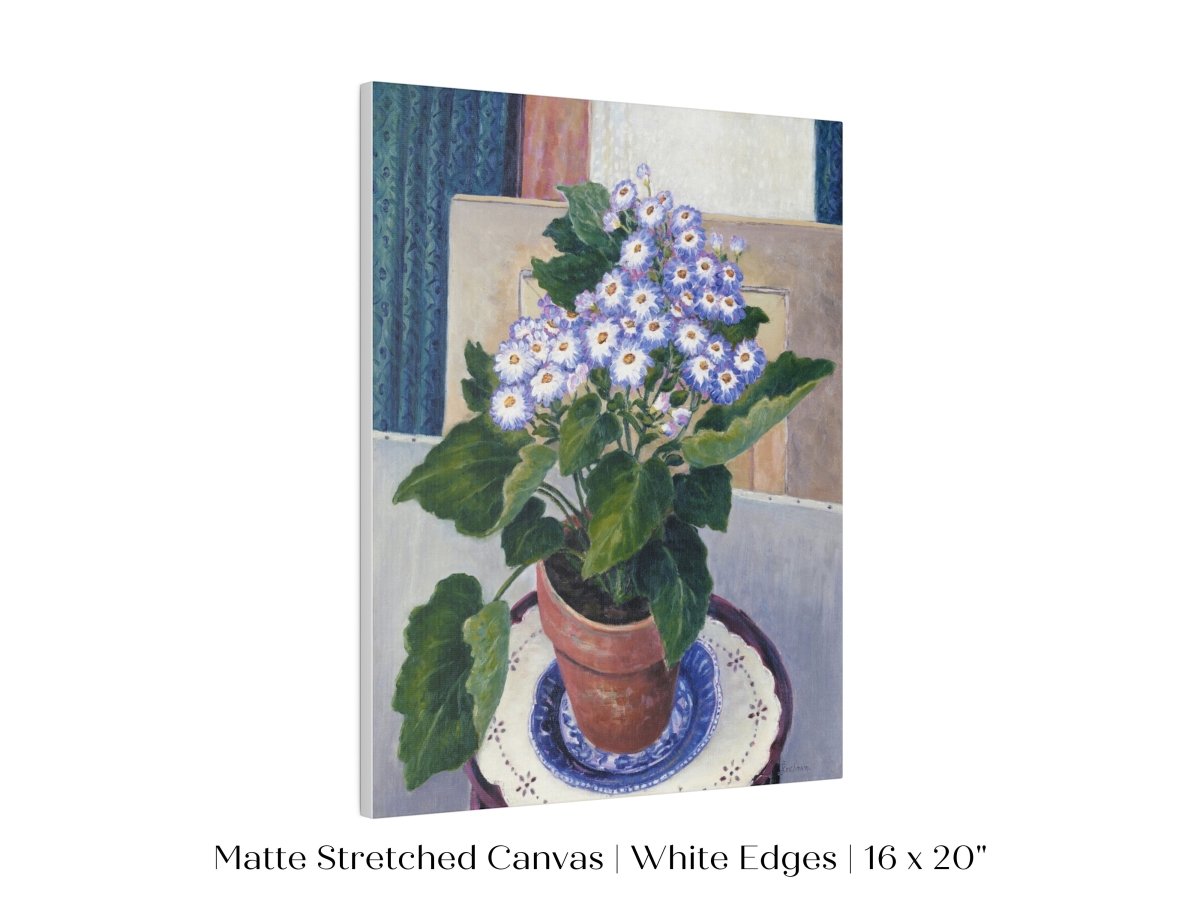 Cineraria | P208 - Single Art Prints - Piccolo Fiore Prints
