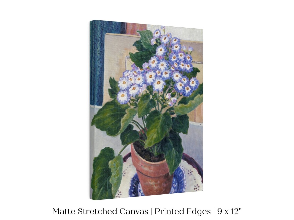 Cineraria | P208 - Single Art Prints - Piccolo Fiore Prints