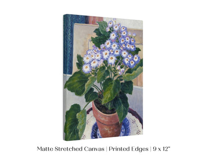 Cineraria | P208 - Single Art Prints - Piccolo Fiore Prints